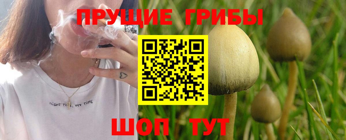 купить  сайты  Галлюциногенные грибы Psilocybine cubensis  Вход с VPN  Лесозаводск 